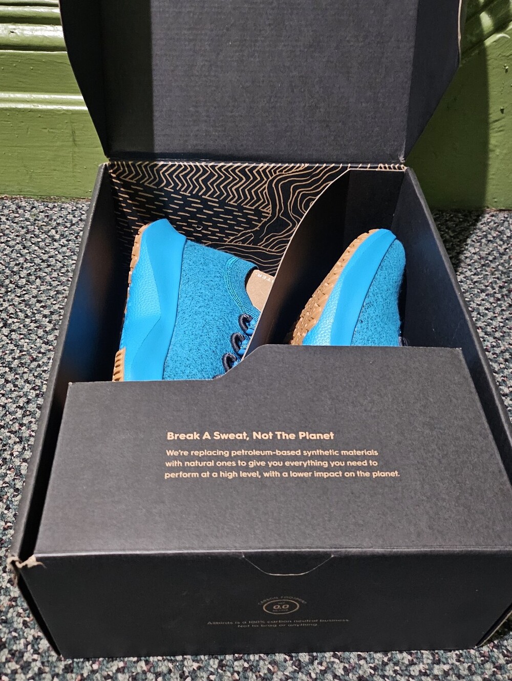 Allbirds Wool Dasher 2 Blue Casual Sneakers with Gum Outsole